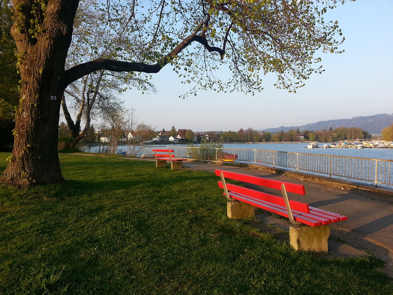 冷静的进攻 冷静的进攻