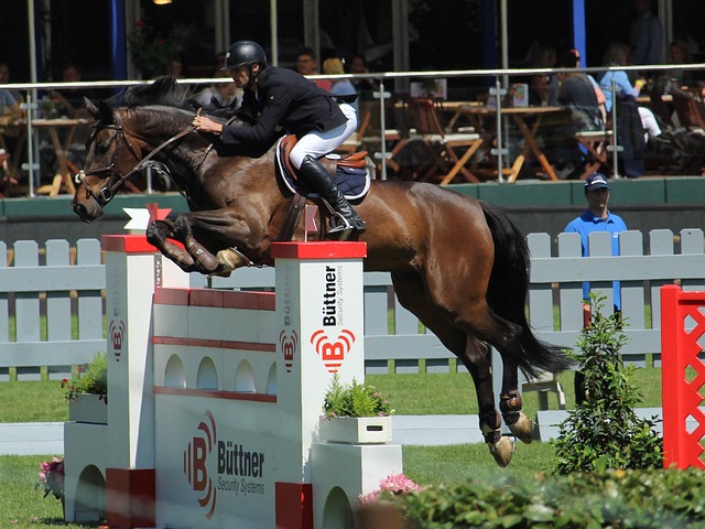 场的控制力 场的控制力