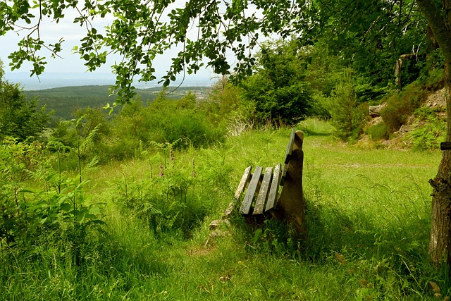 进攻端缺乏 进攻端缺乏