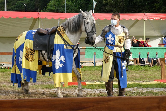 明了香港運 明了香港運